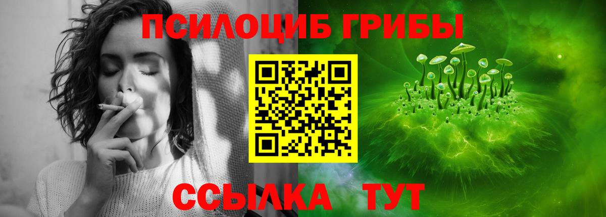 Галлюциногенные грибы Psilocybine cubensis  Галлюциногенные грибы Cubensis  Коломна  Вход с VPN 